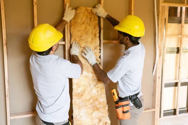 Best Insulation Inspection Services  in Tutwiler, MS
